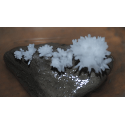 Кальций уксуснокислый 1-водн., ч