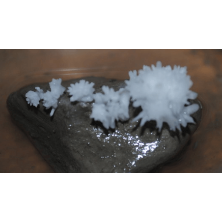 Кальций уксуснокислый 1-водн., ч