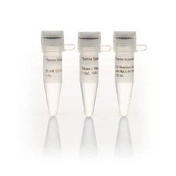 Дезоксирибонуклеаза 1