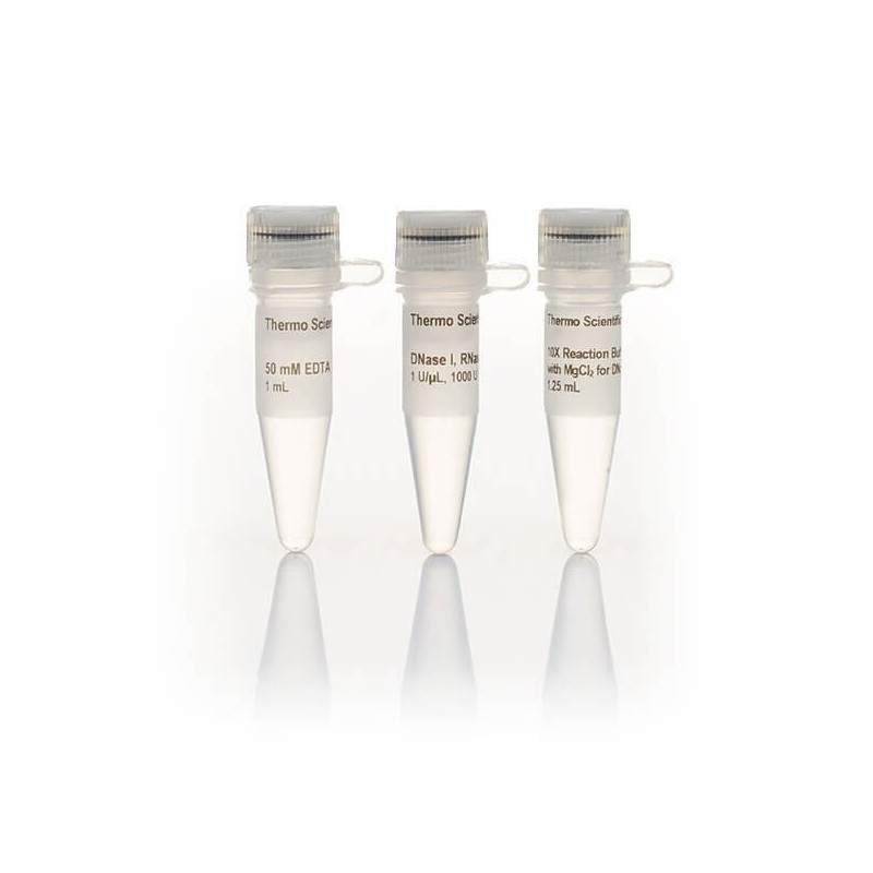 Дезоксирибонуклеаза 1