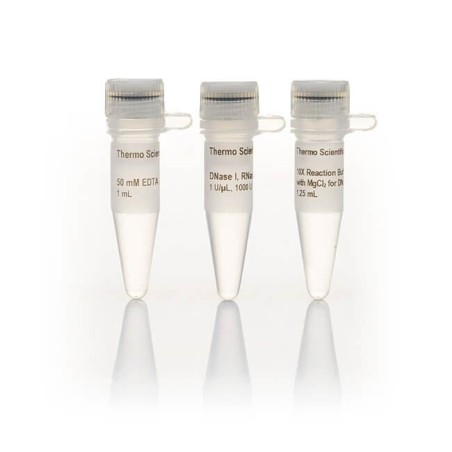 Дезоксирибонуклеаза 1