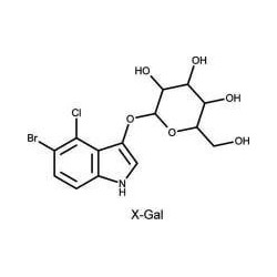 Изоприл-бета-D-тиогалактозид (ИПТГ, IPTG)