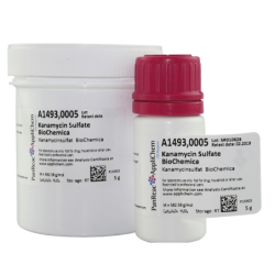 Канамицина сульфат (BioChemica), 25гр
