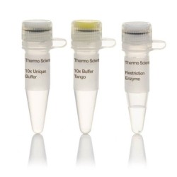 Эндонуклеаза рестрикции EcolCRI