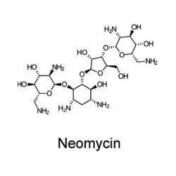 Неомицина сульфат (USP GRADE), 25гр