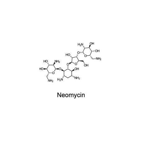 Неомицина сульфат (USP GRADE), 25гр