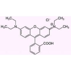 Сафранин Т, 500гр