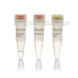 Эндонуклеаза рестрикции Notl