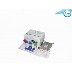 Свободный Т3-Имаксиз ВТ 11-05 (IMAXYZ)