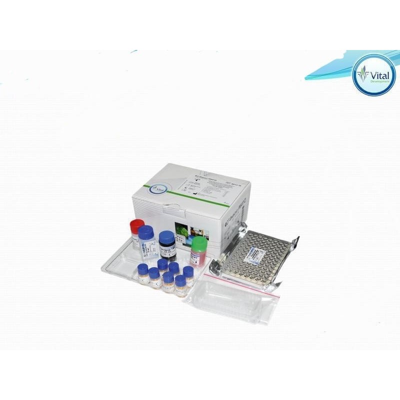 Т3-Имаксиз ВТ 11-03 (IMAXYZ)