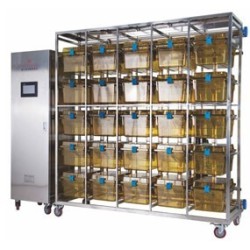 Вентилируемый комплекс для крыс IVC СА25