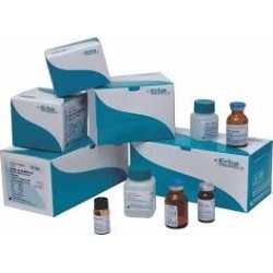 Книга кодов для КАНДИДАтеста