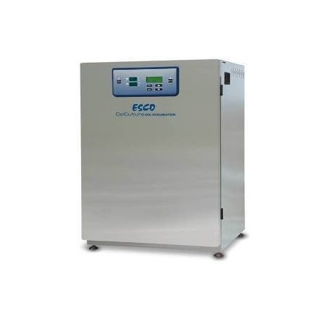 Инкубатор СО2 CCL-050B-8 SS