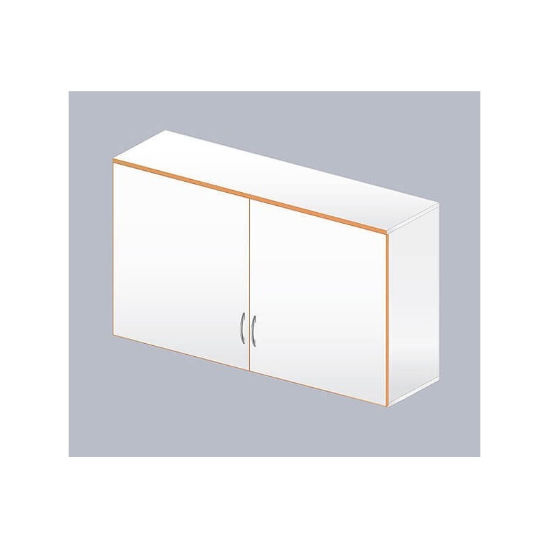 Шкаф навесной ЛАБ-1200 НШ-2