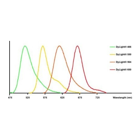Антитела поликлональные козьи вторичные к мышиным LgA (alpha chain)- альфа цепь (HRP), 1мг