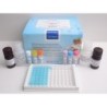 Набор для определения Сальбутамола методом ИФА (1наб-96опр)