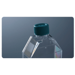 Матрацы 250мл, наклонное горлышко, невентилируемая зеленая крышка, стерильные(уп-5шт)