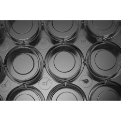 Планшет 24 лунки, стеклянное дно, с крышкой (стерильный) в инд.уп.