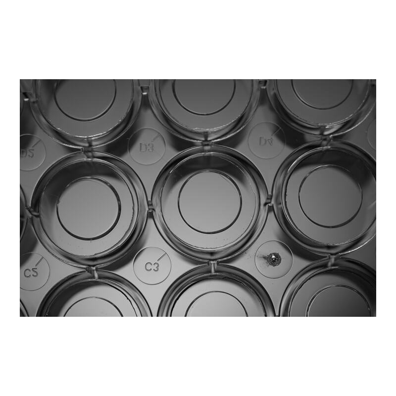 Планшет 24 лунки, стеклянное дно, с крышкой (стерильный) в инд.уп.