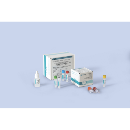 Ампли-Сенс Salmonella typhi-FL