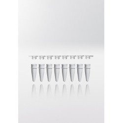 Кювета PS типа TECO однолуночная упак-1000шт