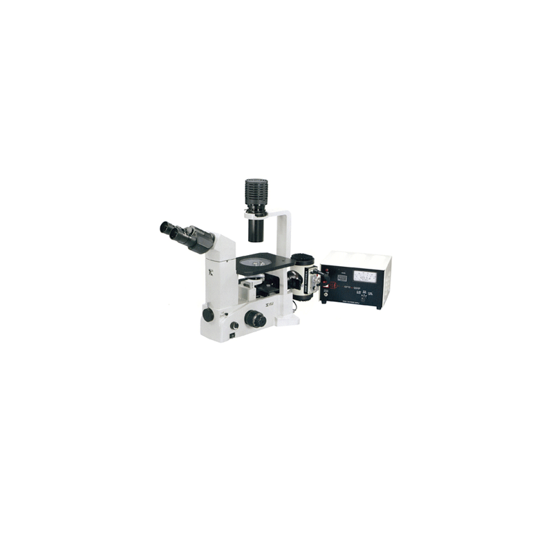 Инвертированный микроскоп ТС5500L