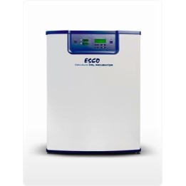 Инкубатор СО2 CCL-170B-8 с вн.разделительной дверью