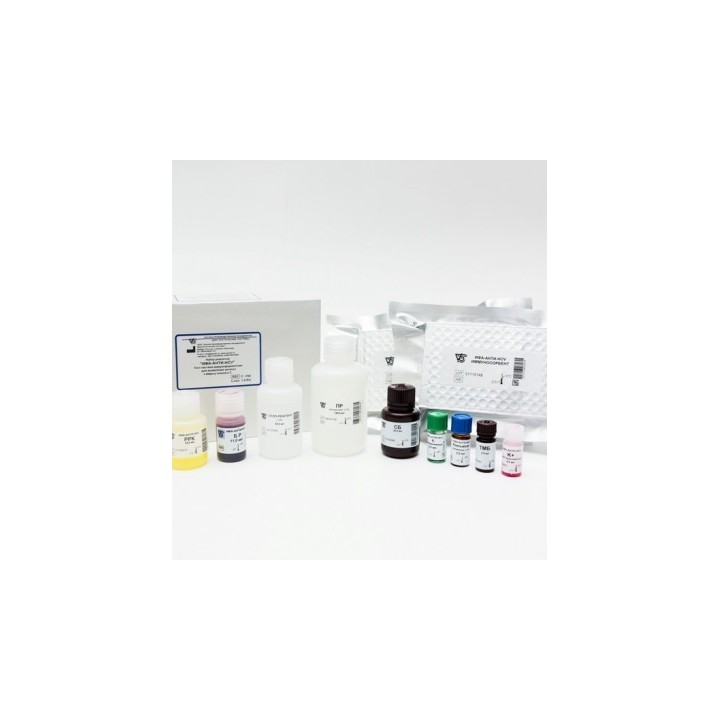 ИФА-Анти HCV