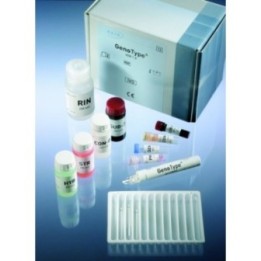 GenoType MTBC