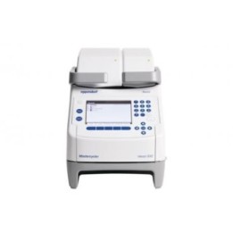 Термоциклер Mastercycler nexus GX2