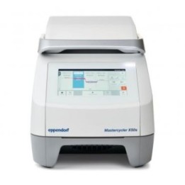 Термоциклер Mastercycler X50s
