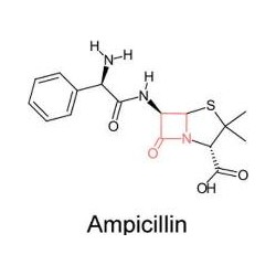 Ампициллина натриевая соль 0339-25 г