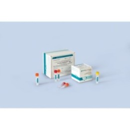 R-В79 (RG,iQ,Dt) АмплиСенс Yersinia pestis-FL
