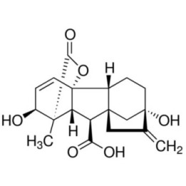Гиббереллиновая кислота (GA4+7)