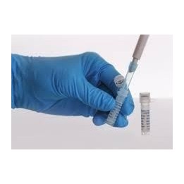 Sequencing Taq ДНК полимераза