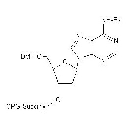5'-DMTr-dA (N-Bz) CPG колонка