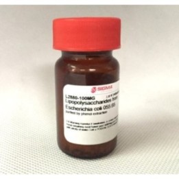 Амилоглюкозидаза от Aspergillus niger