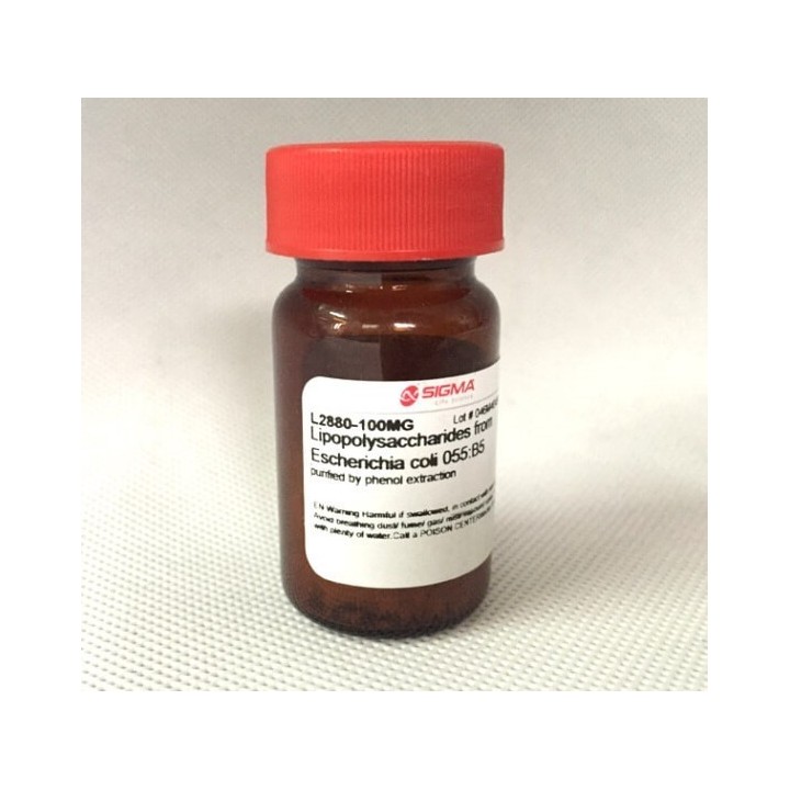 Амилоглюкозидаза от Aspergillus niger