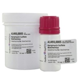 Канамицина сульфат (BioChemica)