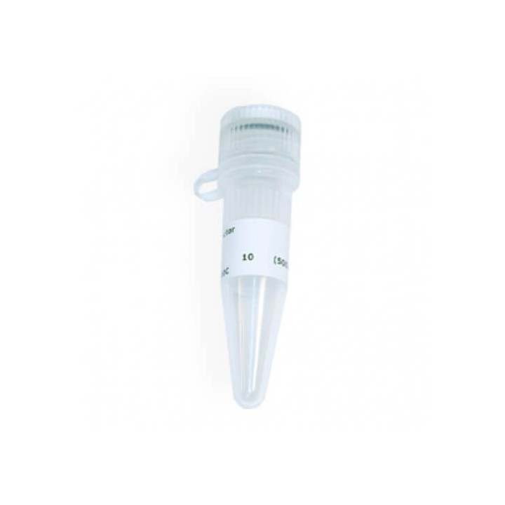 ДНКаза (без РНКазной активности)