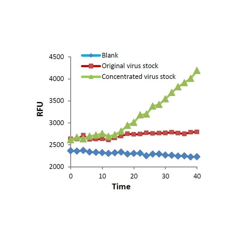 Набор реагентов для преципитации вируса (набор-50 тестов) (ab102538)